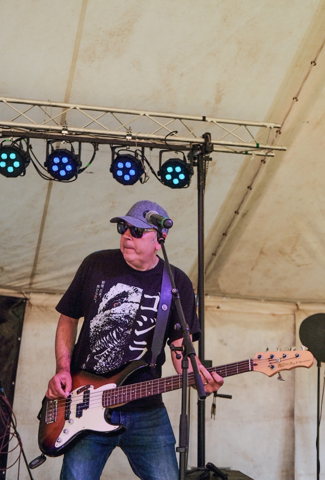 The Breakdown at Wild Woodlands Festival